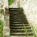 Le vieil escalier