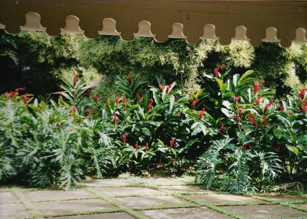 Le jardin de Balata (3)