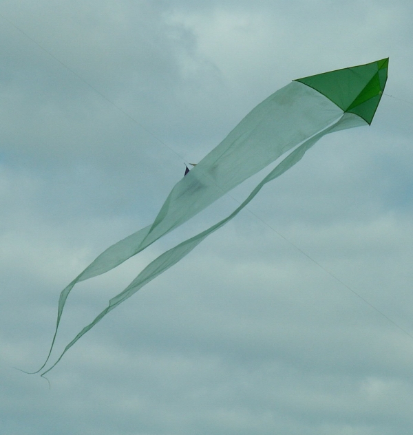 Cerf-volant (7)