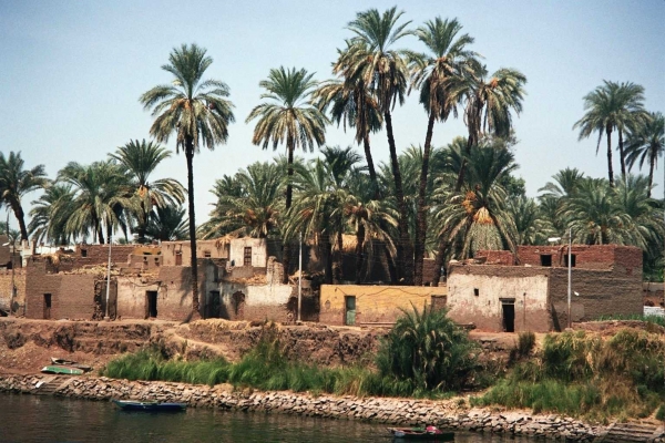 Les rives du Nil (12)
