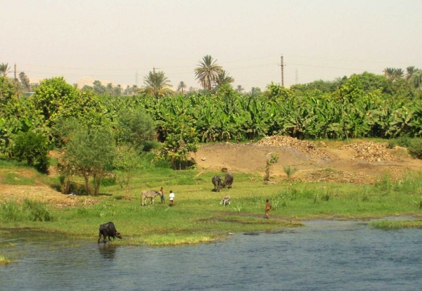 Les rives du Nil (18)