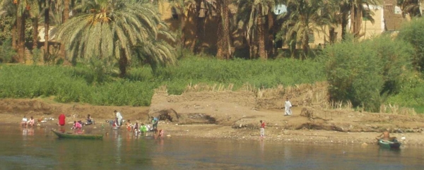 Les rives du Nil (13)