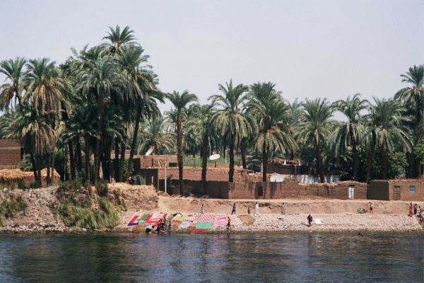 Les rives du Nil (20/20)