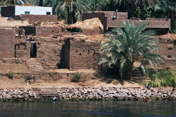 Les rives du Nil (16)