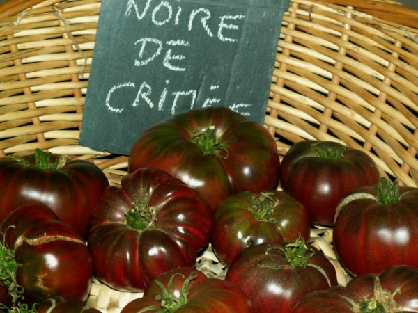 Tomates (1)