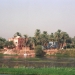 Les rives du Nil (15)
