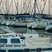 Le port de Piriac (4)